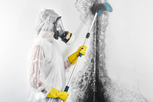 Best Dehumidification Services  in Vernon, AL