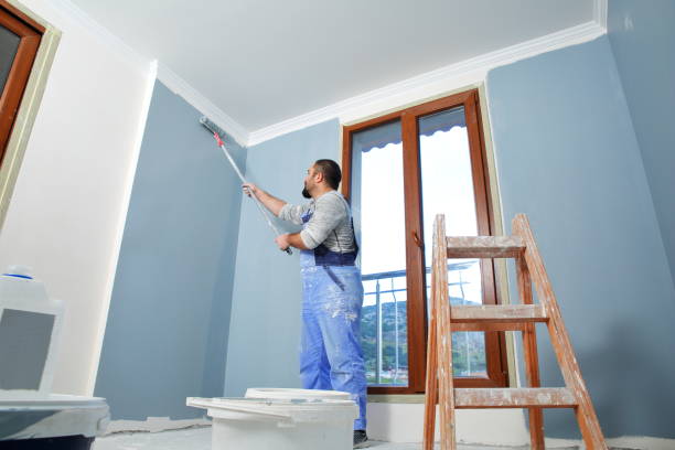 Best Basement Mold Removal  in Vernon, AL
