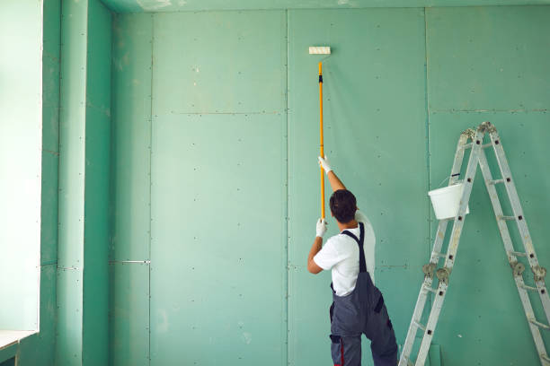 Best Mold Odor Removal Services  in Vernon, AL