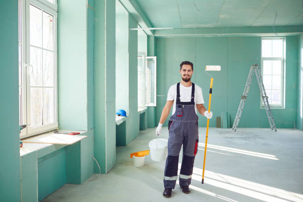 Best Black Mold Removal  in Vernon, AL