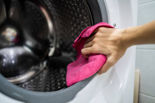  Vernon, AL Mold Removal Pros