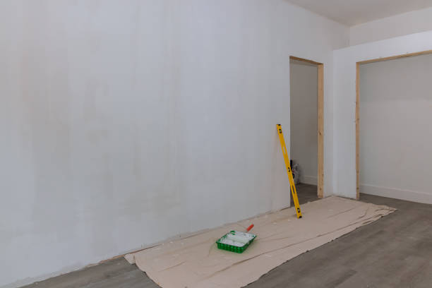 Best Residential Mold Inspection & Testing  in Vernon, AL