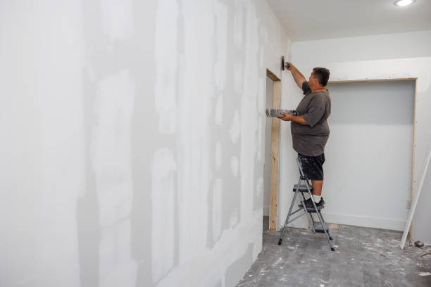 Best Mold Damage Restoration  in Vernon, AL