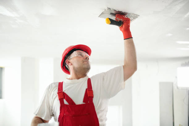 Best Mold Remediation for Healthcare Facilities  in Vernon, AL
