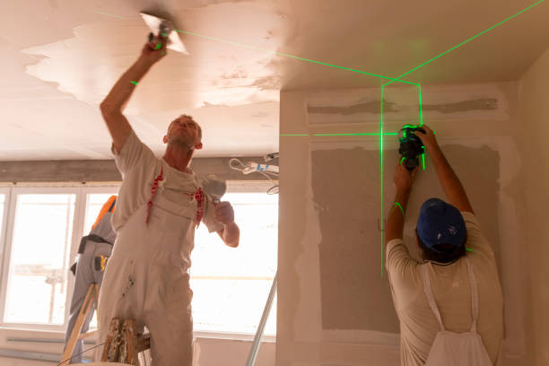 Reliable Vernon, AL Mold Removal Solutions