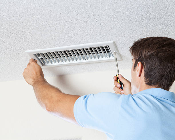 Best Mold Documentation for Insurance Claims  in Vernon, AL